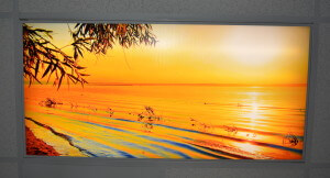 Beach light cover