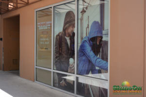 Timberland window graphics