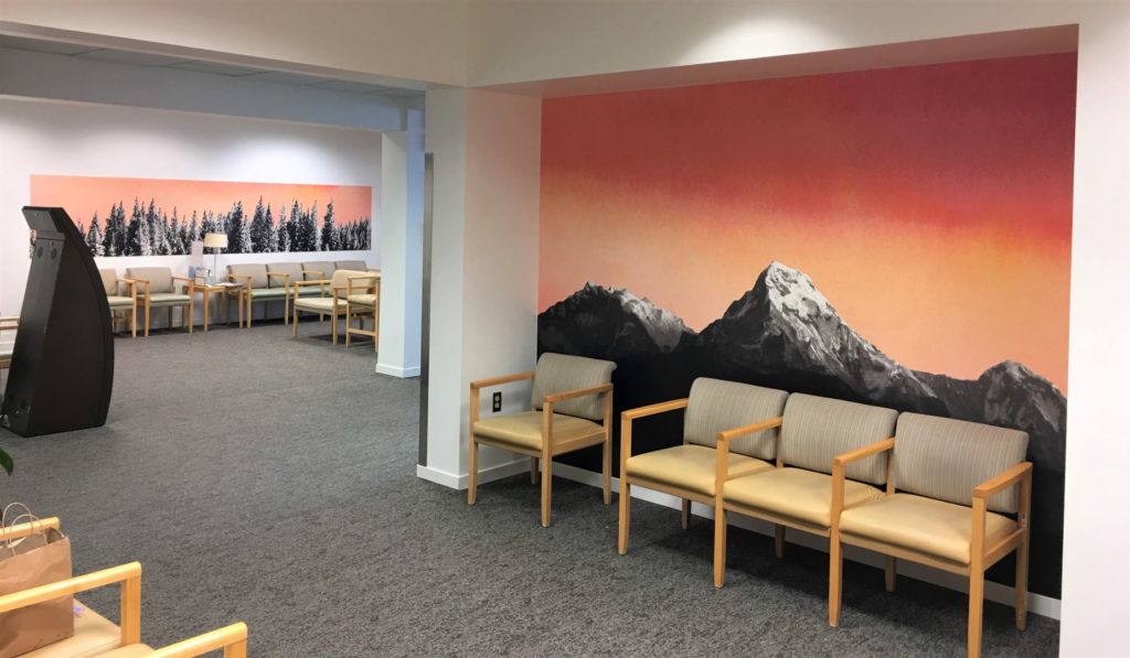 The Many Benefits of Wall Murals